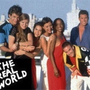 The Real World: Miami