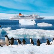 Visit Antarctica