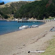 French Pass Campsite