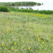 Tewaukon Wetland Management District, North Dakota