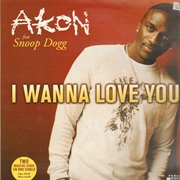 I Wanna Love You - Akon Feat. Snoop Dogg