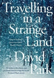 Traveling in a Strange Land (David Park)