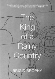 The King of a Rainy Country (Brigid Brophy)