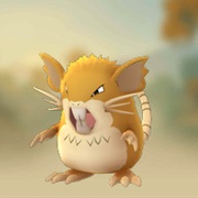#20 Raticate