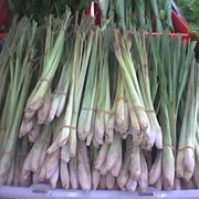 Lemon Grass (Cymbopogon Citratus)