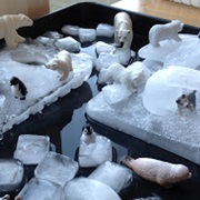 Arctic Play World Out of Real Ice
