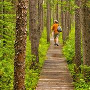 Esker Lakes Provincial Park