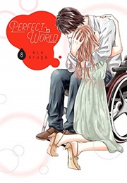 Perfect World Vol. 8 (Rie Aruga)