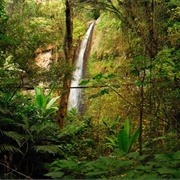 Reserva Natural Atitlan, Guatemala