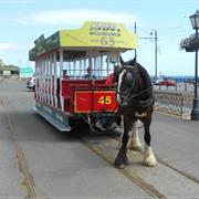 Douglas Bay Horse Tramway