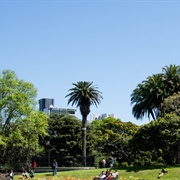 Albert Park