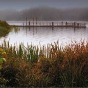 William M. Tugman State Park, Oregon