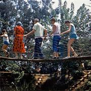 Rope Suspension Bridge (1956-Present)