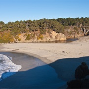 Jug Handle State Natural Reserve, California