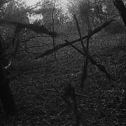 Blair Witch