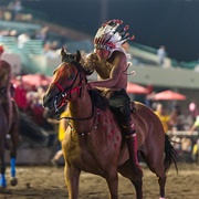 Indian Horse