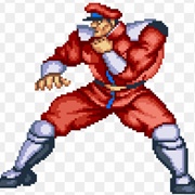 M. Bison