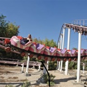Coaster (Wonderland)
