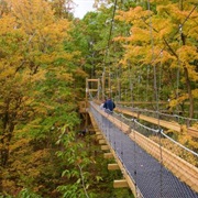 The Holden Arboretum