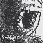 Seventh Circle - Voluntary Torture