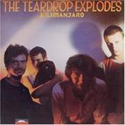 The Teardrop Explodes