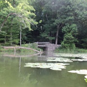 Chenango Valley State Park, New York