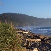 Cape Lookout State Park, Oregon