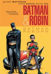 Batman &amp; Robin: Batman Reborn