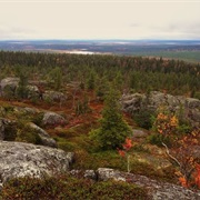 Syote National Park, Finland