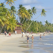 Grande Anse Des Salines, Martinique