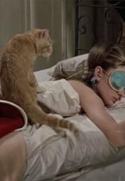 Breakfast at Tiffany's - Orangey the Cat