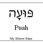 Puah
