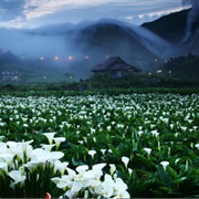 Yangmingshan, Taiwan