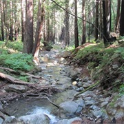 Limekiln State Park, California