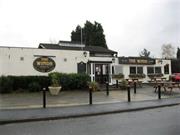 The Winds (Free House)