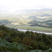 Mawddach Valley - Coed Garth Gell