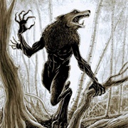 Skinwalker