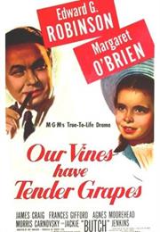 Our Vines Have Tender Grapes (Roy Rowland)