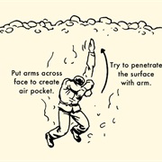 Survive an Avalanche