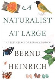 A Naturalist at Large (Bernd Heinrich)