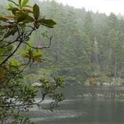 Umpqua Lighthouse State Park, Oregon