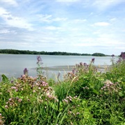 Rice Lake State Park, Iowa