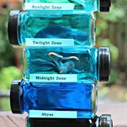 Discover the Ocean Layers