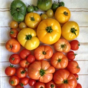 Garden Tomatoes