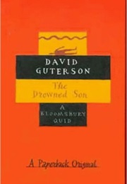 The Drowned Son (David Guterson)