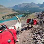 Go for a Hike of More Than 3 Days