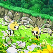 Cutiefly