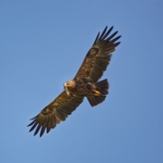 Otepaa Nature Park, Estonia