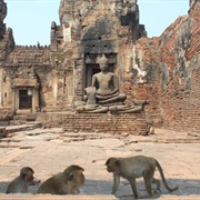 Lopburi, Thailand