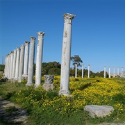 Ancient City of Salamis, Cyprus